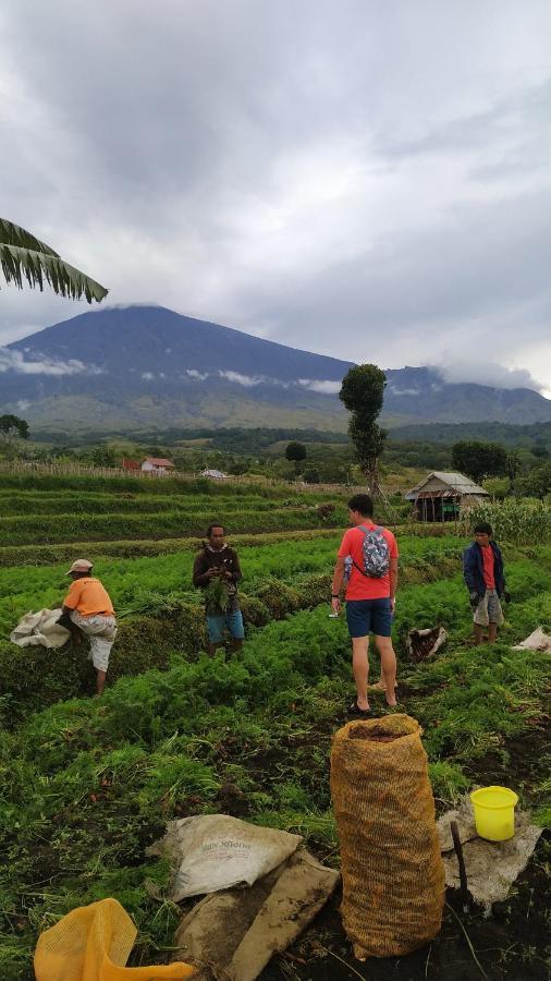 Family Rinjani Bungalow Sajang Exterior foto