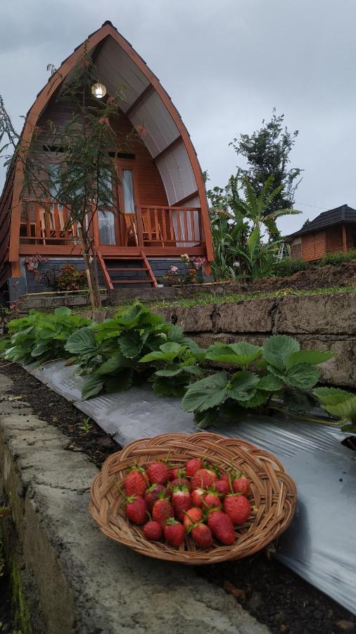 Family Rinjani Bungalow Sajang Exterior foto