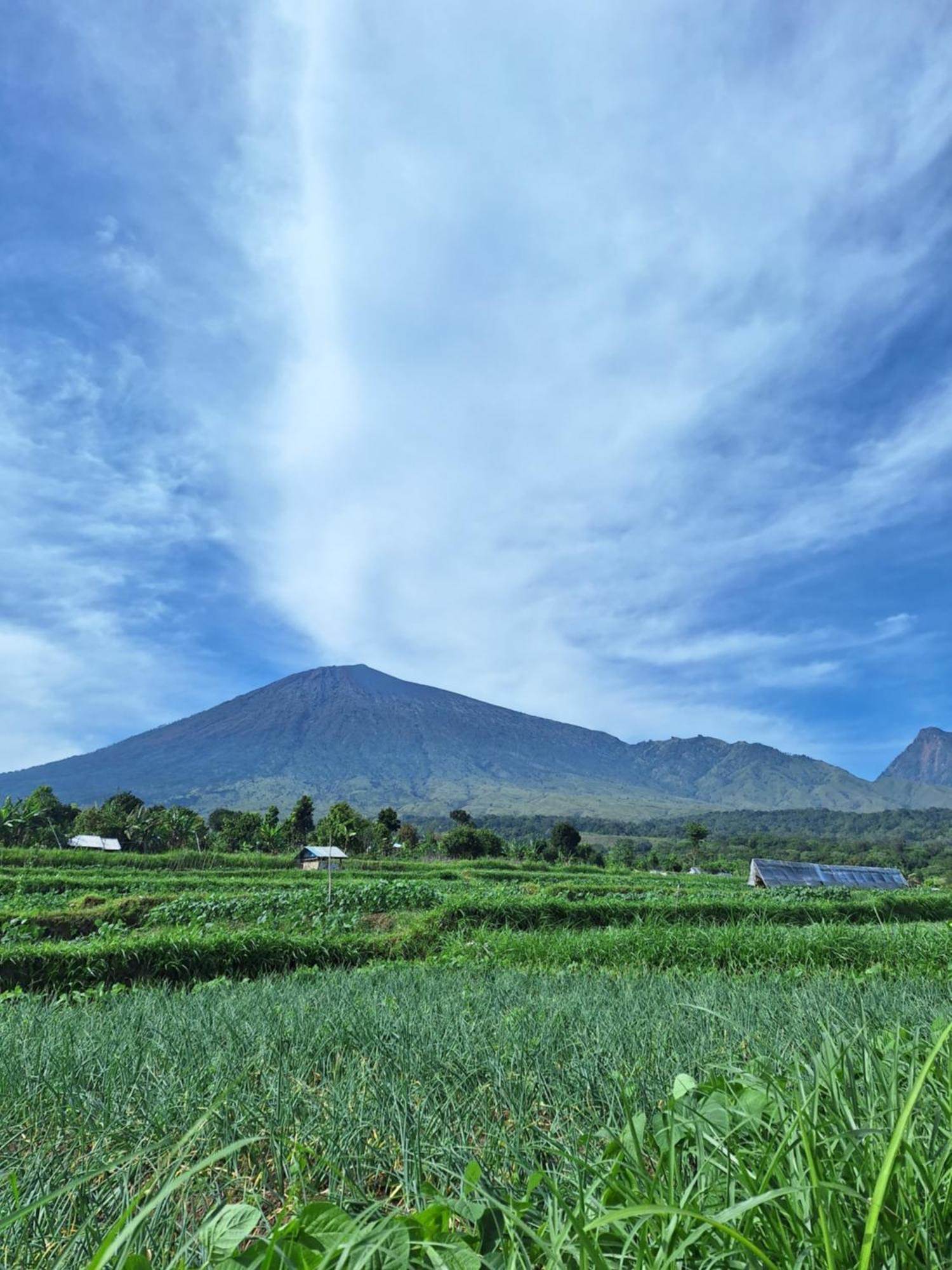 Family Rinjani Bungalow Sajang Exterior foto